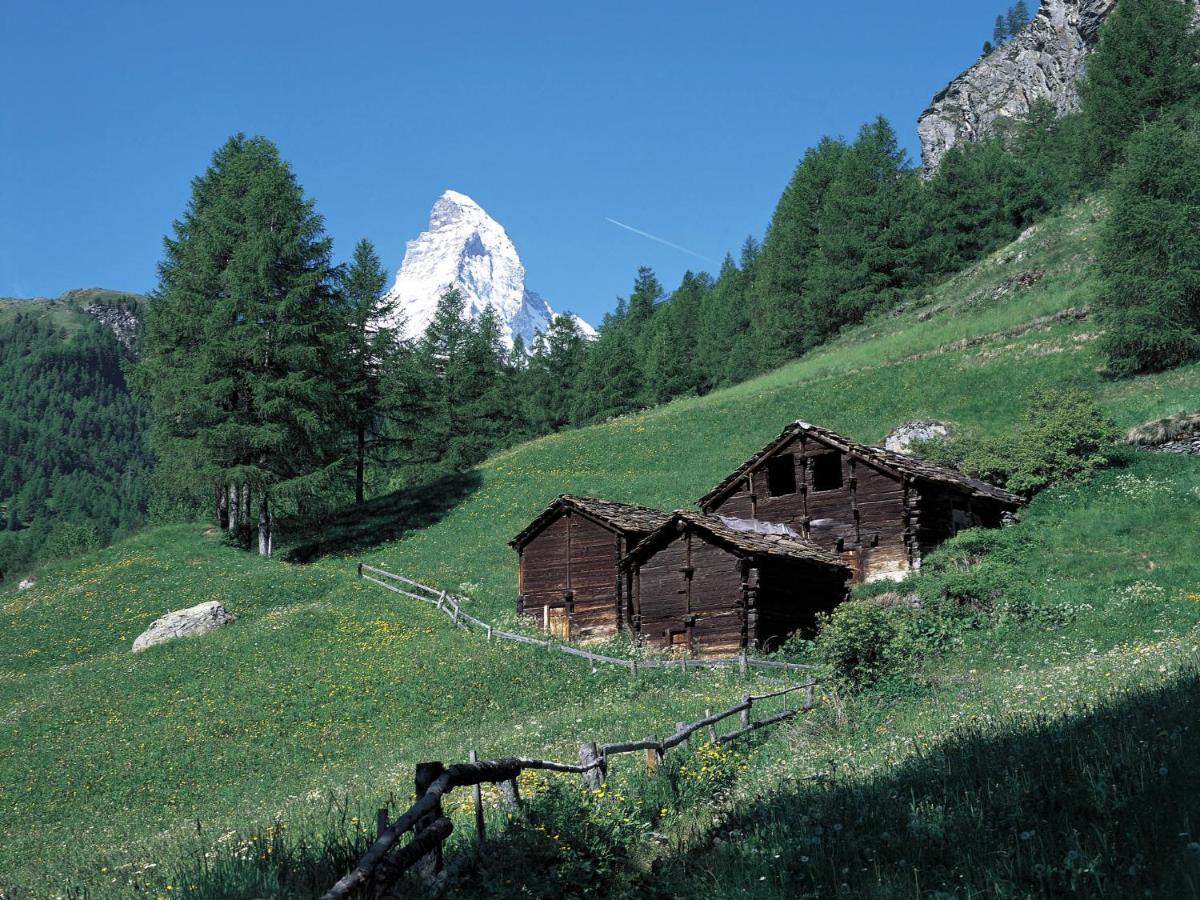 Apartment Breithorn By Interhome Zermatt Eksteriør bilde