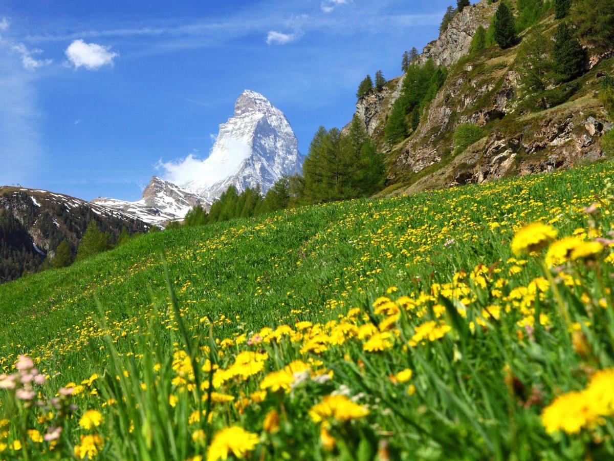 Apartment Breithorn By Interhome Zermatt Eksteriør bilde